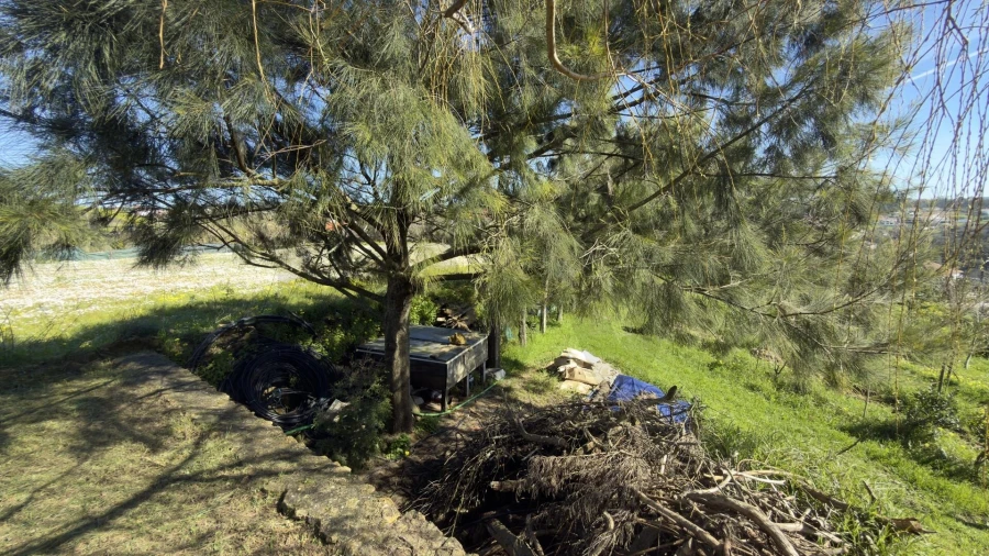 Terreno para Venda em Santo Isidoro Foto 30
