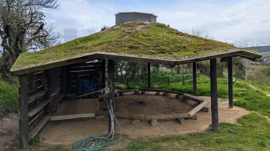Terreno para Venda em Santo Isidoro Foto 7