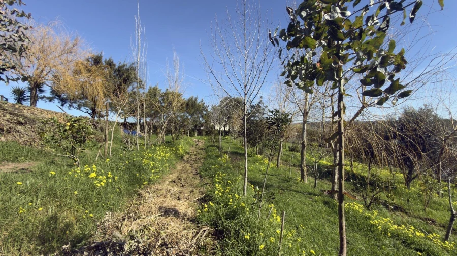 Terreno para Venda em Santo Isidoro Foto 21