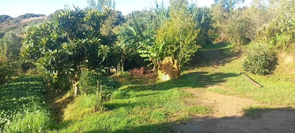Terreno para Venda em Santo Isidoro Foto 15