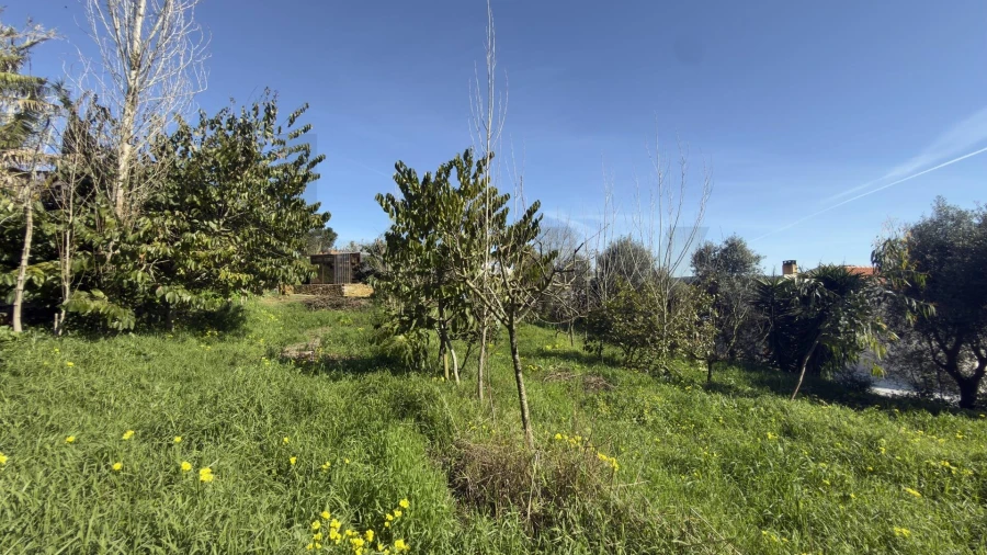 Terreno para Venda em Santo Isidoro Foto 12