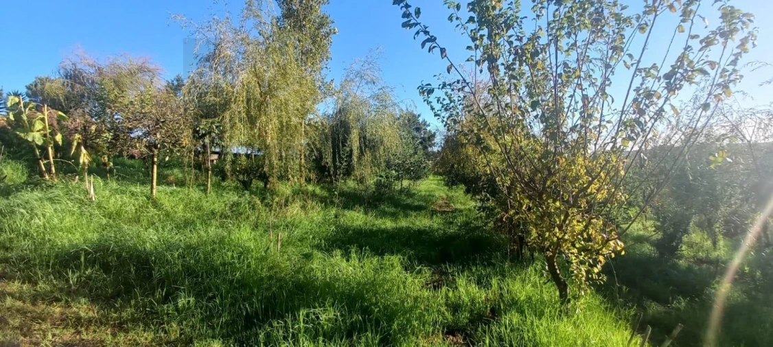 Terreno para Venda em Santo Isidoro Foto 12