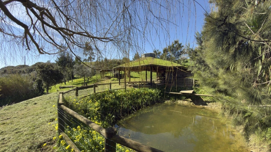 Terreno para Venda em Santo Isidoro Foto 28