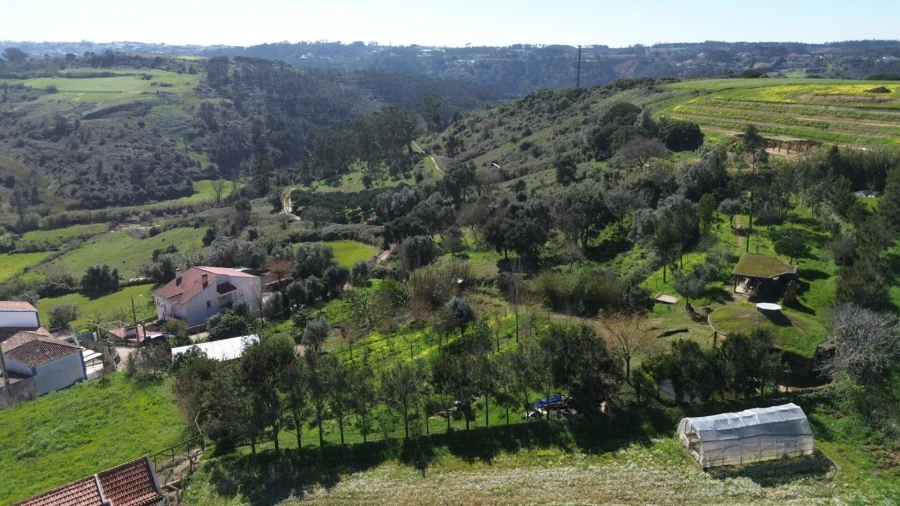 Terreno para Venda em Santo Isidoro Foto 52