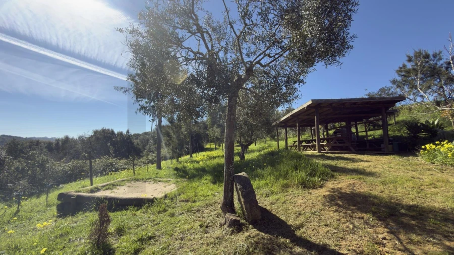 Terreno para Venda em Santo Isidoro Foto 22