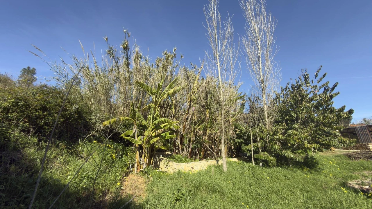 Terreno para Venda em Santo Isidoro Foto 11