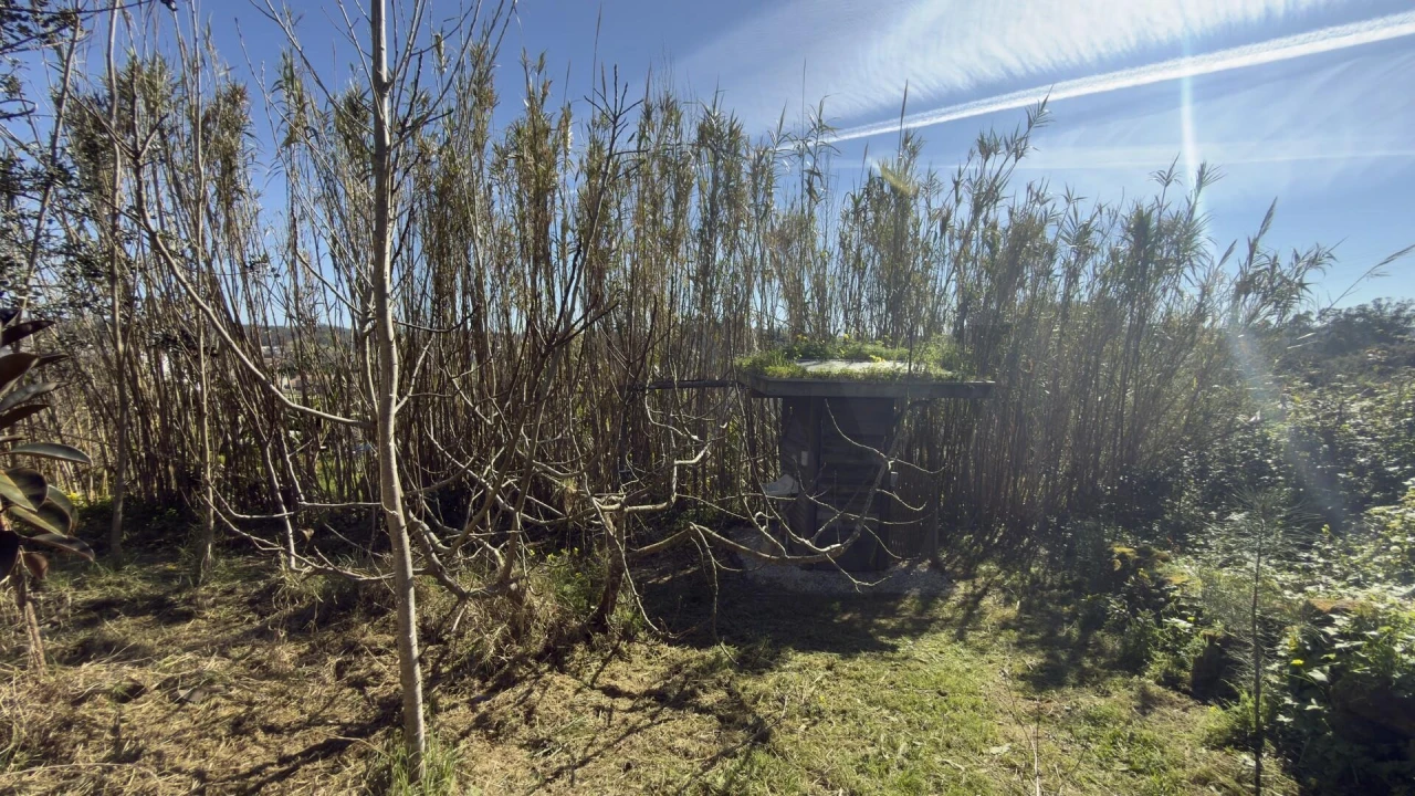 Terreno para Venda em Santo Isidoro Foto 17