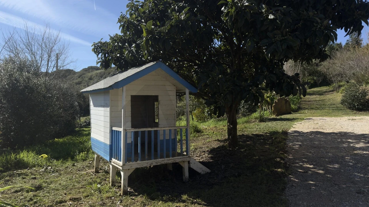 Terreno para Venda em Santo Isidoro Foto 40