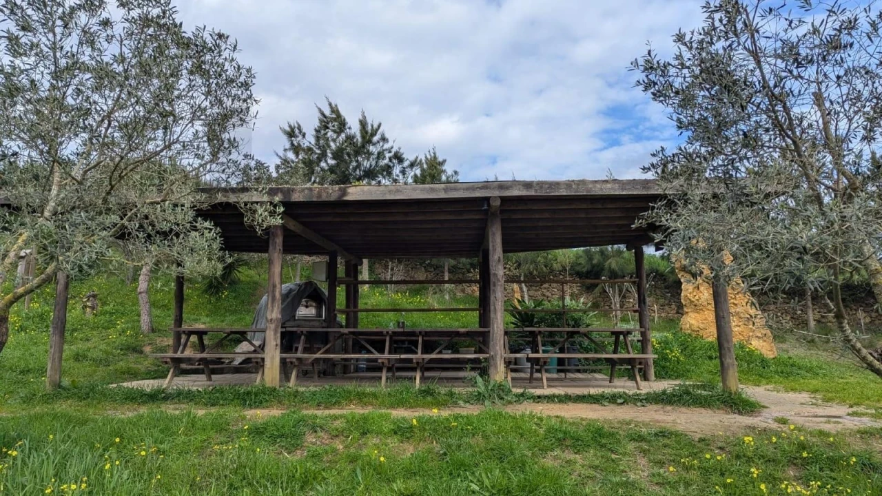 Terreno para Venda em Santo Isidoro Foto 10