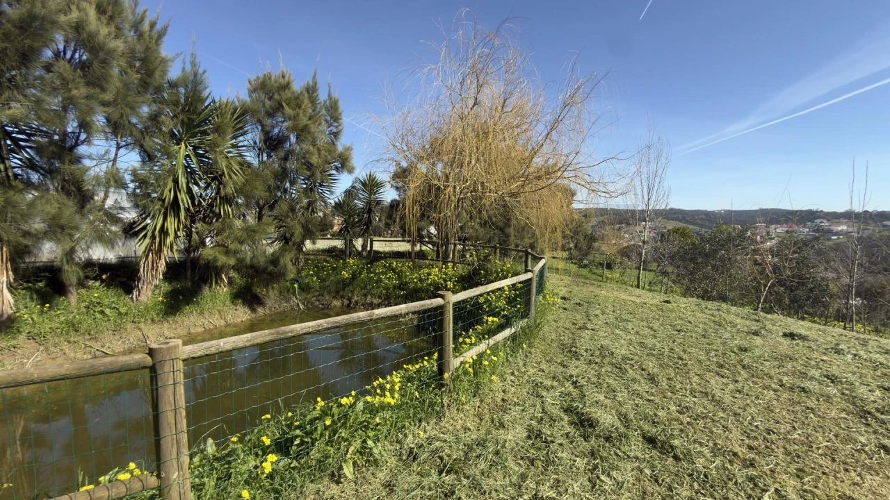 Terreno para Venda em Santo Isidoro Foto 27