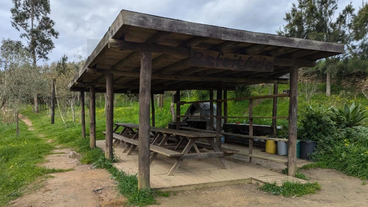 Terreno para Venda em Santo Isidoro Foto 11