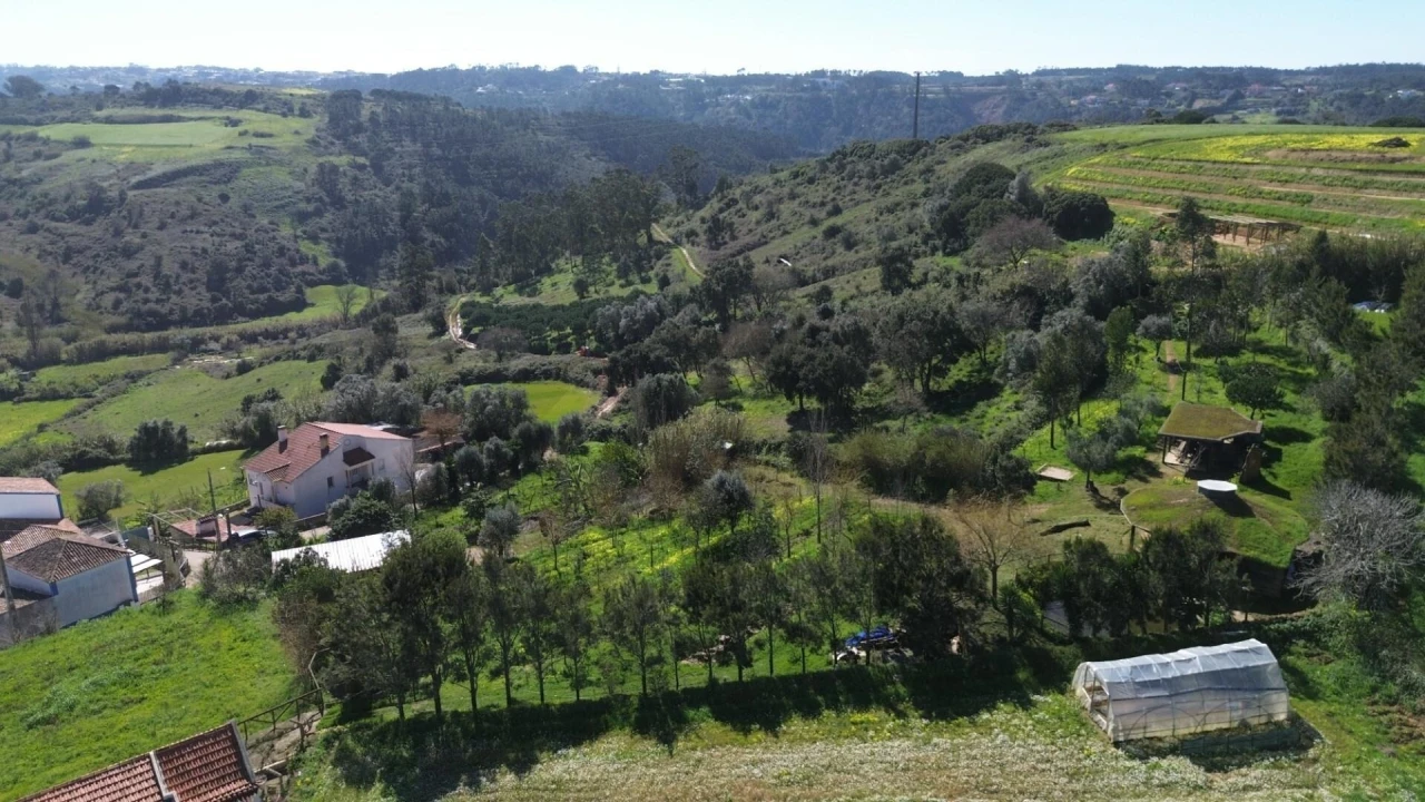 Terreno para Venda em Santo Isidoro Foto 52