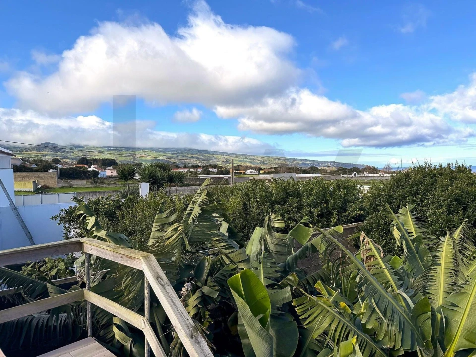 Moradia T3 para Venda em São Vicente Ferreira Foto 20