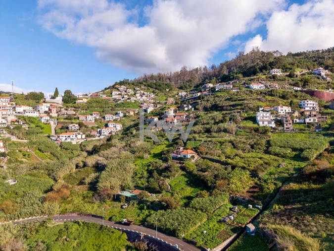 Terreno para Venda em Quinta Grande Foto 14