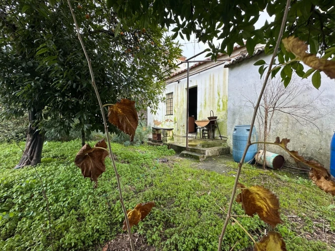 Moradia T5 para Venda em Pego Foto 9