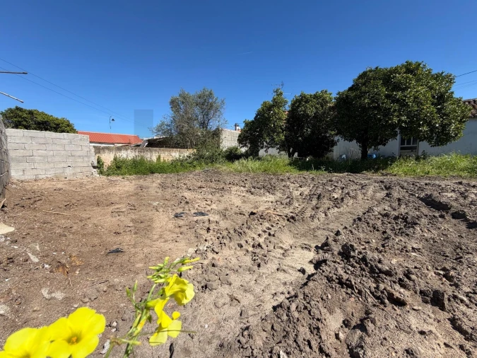 Moradia T5 para Venda em Pego Foto 42