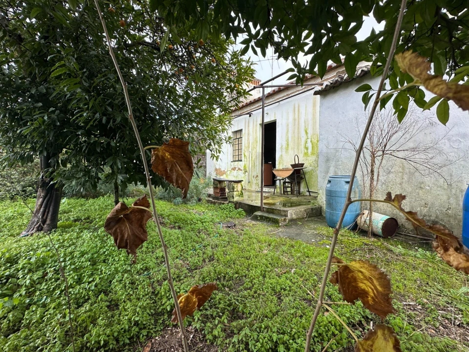 Moradia T5 para Venda em Pego Foto 9