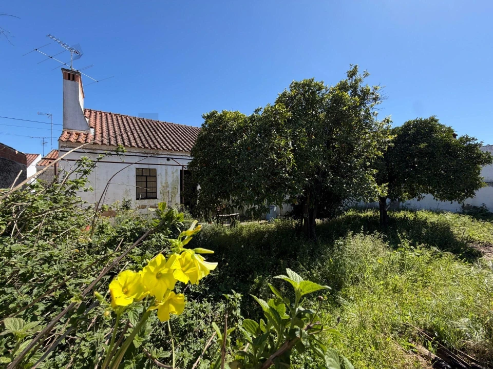 Moradia T5 para Venda em Pego Foto 41