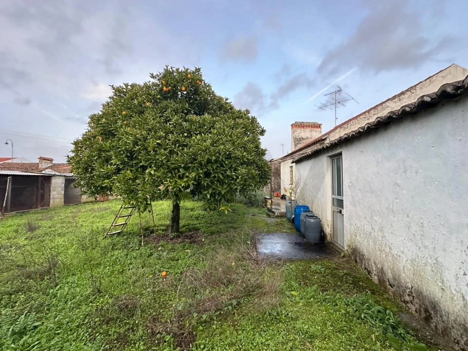 Moradia T5 para Venda em Pego Foto 33