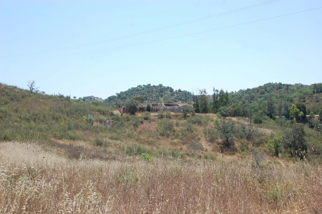 Terreno para Venda em Armação de Pera Foto 13