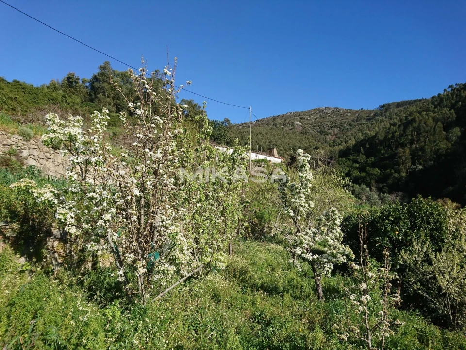 Moradia T2 para Venda em Monchique Foto 23