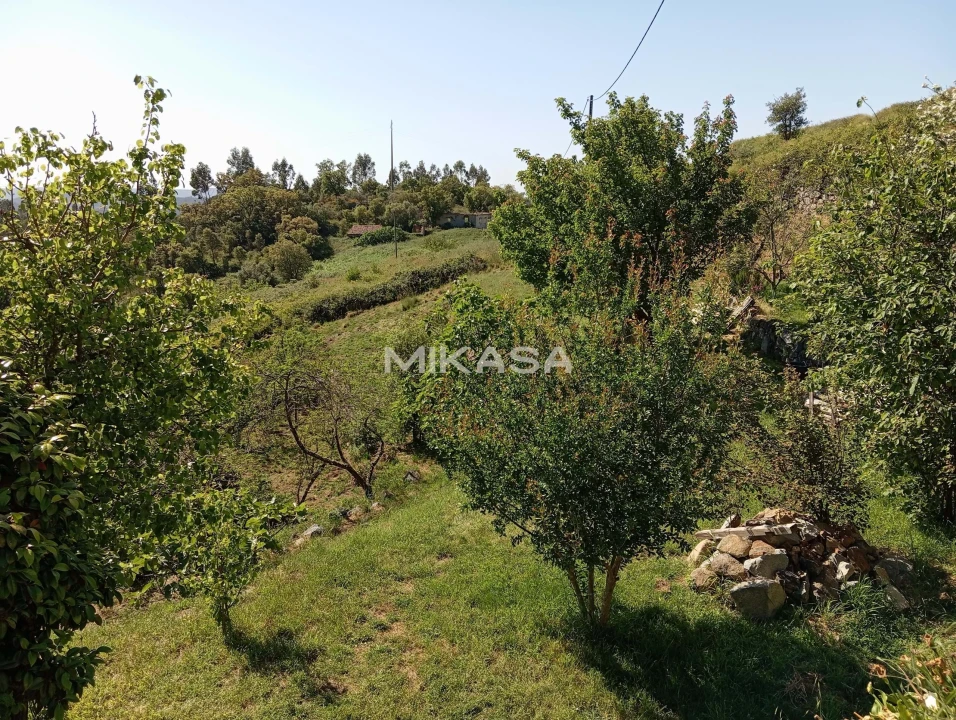 Moradia T2 para Venda em Monchique Foto 35