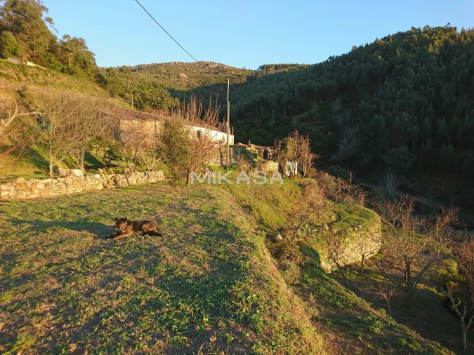 Moradia T2 para Venda em Monchique