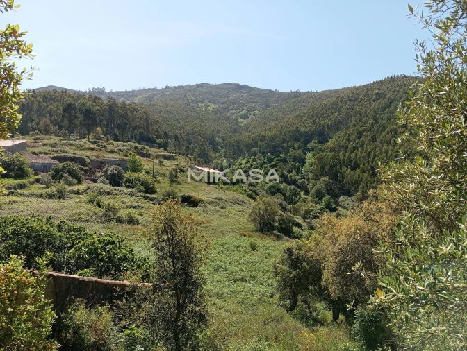 Moradia T2 para Venda em Monchique Foto 34