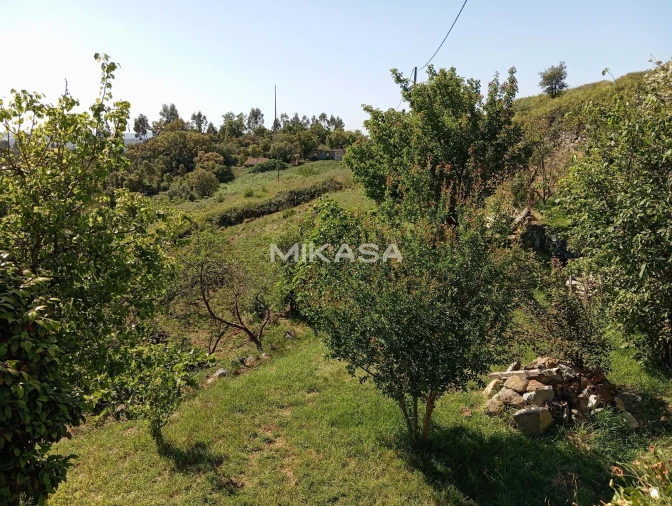 Moradia T2 para Venda em Monchique Foto 35