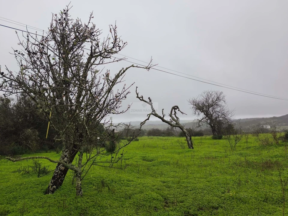 Terreno para Venda em Lagos (São Sebastião e Santa Maria) Foto 8
