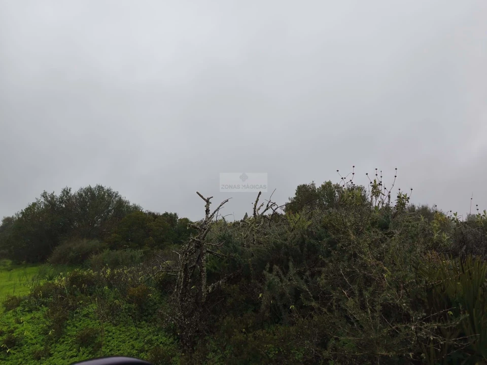 Terreno para Venda em Lagos (São Sebastião e Santa Maria) Foto 7