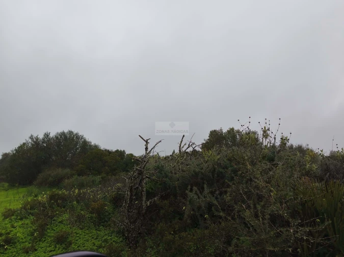 Terreno para Venda em Lagos (São Sebastião e Santa Maria) Foto 7