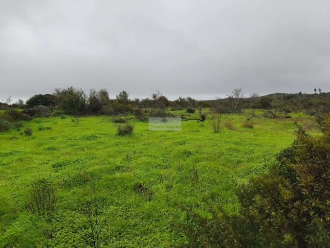 Terreno para Venda em Lagos (São Sebastião e Santa Maria) Foto 6