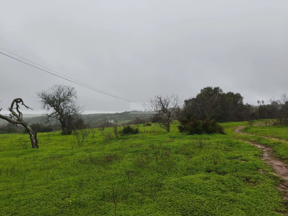 Terreno para Venda em Lagos (São Sebastião e Santa Maria) Foto 3