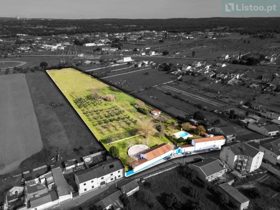 Moradia T4 para Venda em São Miguel do Rio Torto e Rossio Ao Sul do Tejo Foto 21