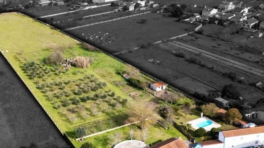 Quinta T6 para Venda em São Miguel do Rio Torto e Rossio Ao Sul do Tejo