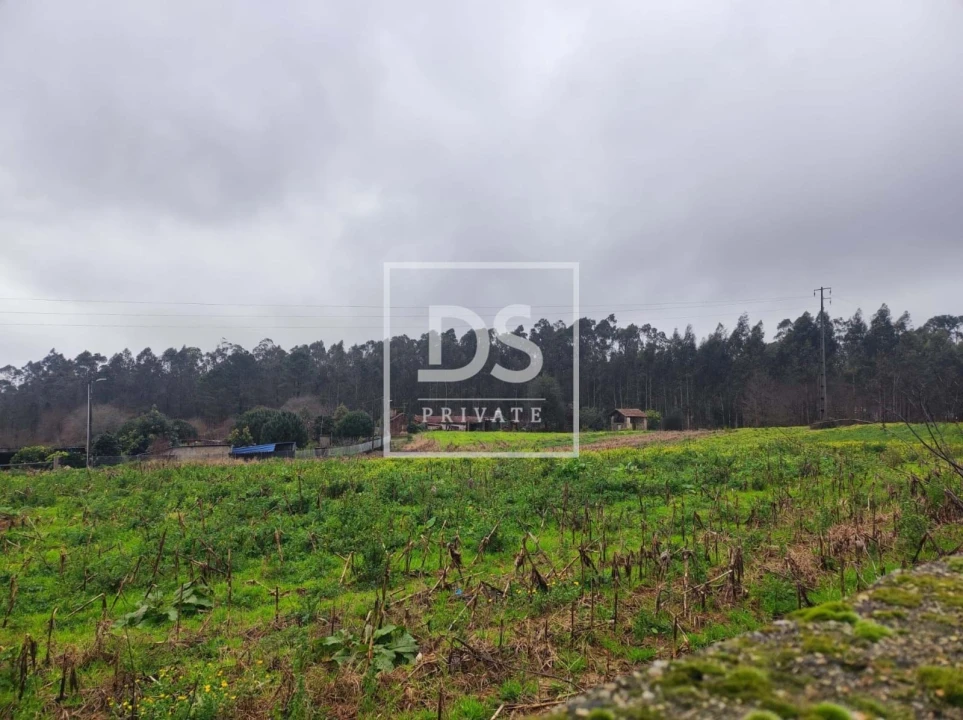 Terreno para Venda em O. Azeméis, Riba-Ul, Ul, Macinhata Seixa, Madail Foto 1