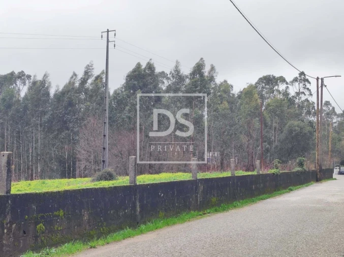Terreno para Venda em O. Azeméis, Riba-Ul, Ul, Macinhata Seixa, Madail Foto 10