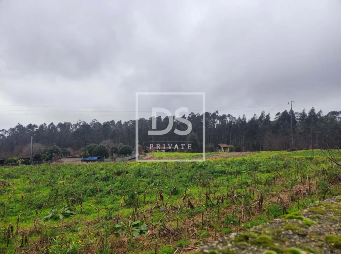 Terreno para Venda em O. Azeméis, Riba-Ul, Ul, Macinhata Seixa, Madail Foto 1