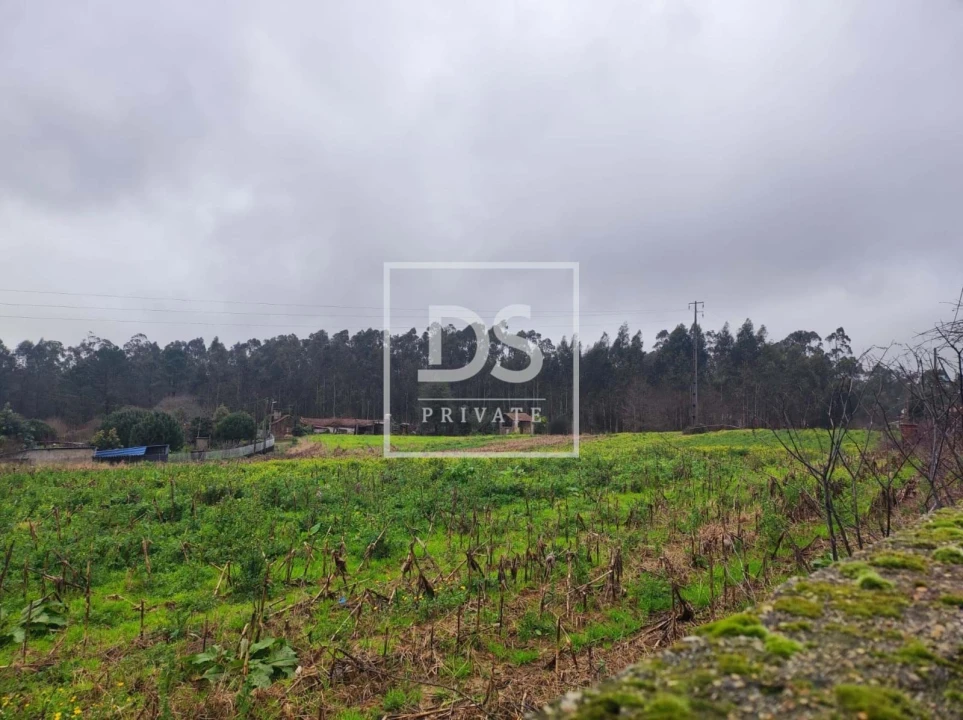 Terreno para Venda em O. Azeméis, Riba-Ul, Ul, Macinhata Seixa, Madail Foto 6