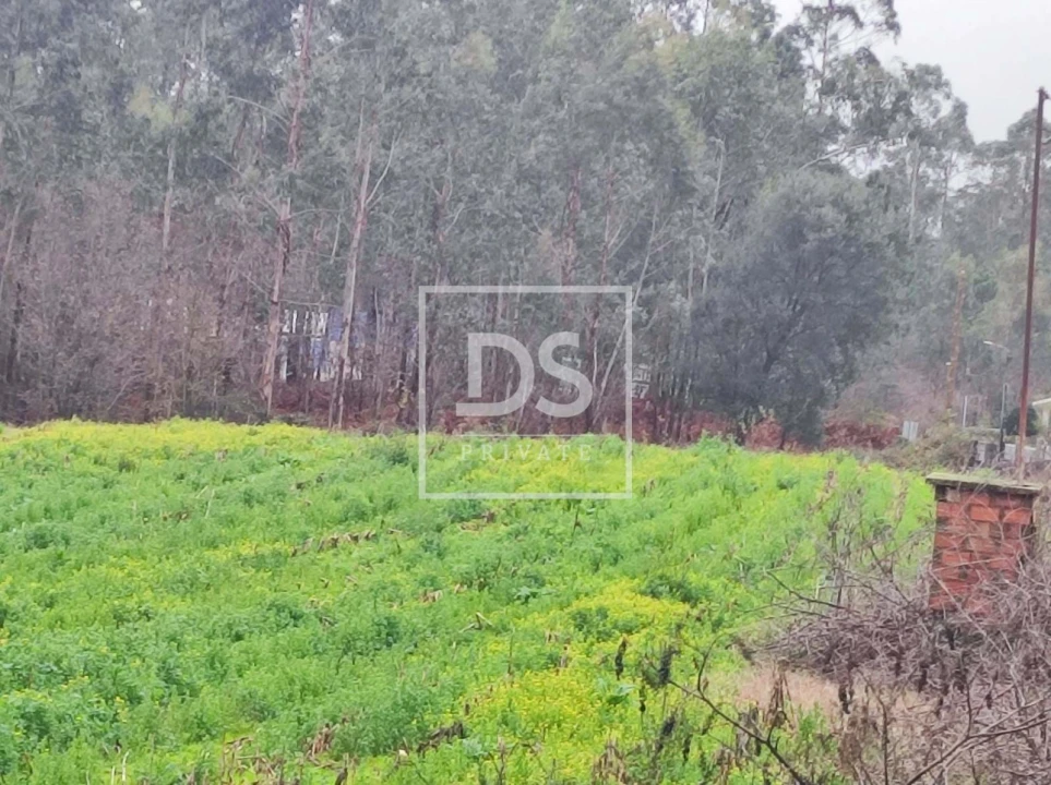 Terreno para Venda em O. Azeméis, Riba-Ul, Ul, Macinhata Seixa, Madail Foto 3