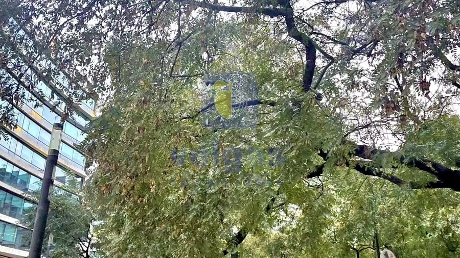 Negócio para Trespasse em Arroios