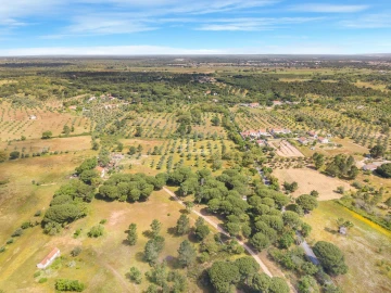 Terreno para Venda em Grândola e Santa Margarida da Serra