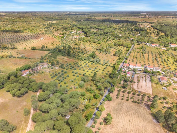 Terreno para Venda em Grândola e Santa Margarida da Serra Foto 18