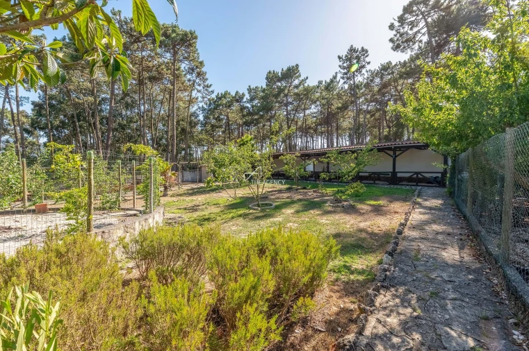 Quinta T4 para Venda em Colares Foto 26