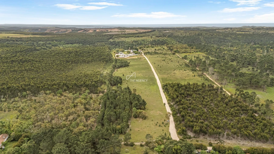 Quinta T31 para Venda em São Teotónio Foto 5