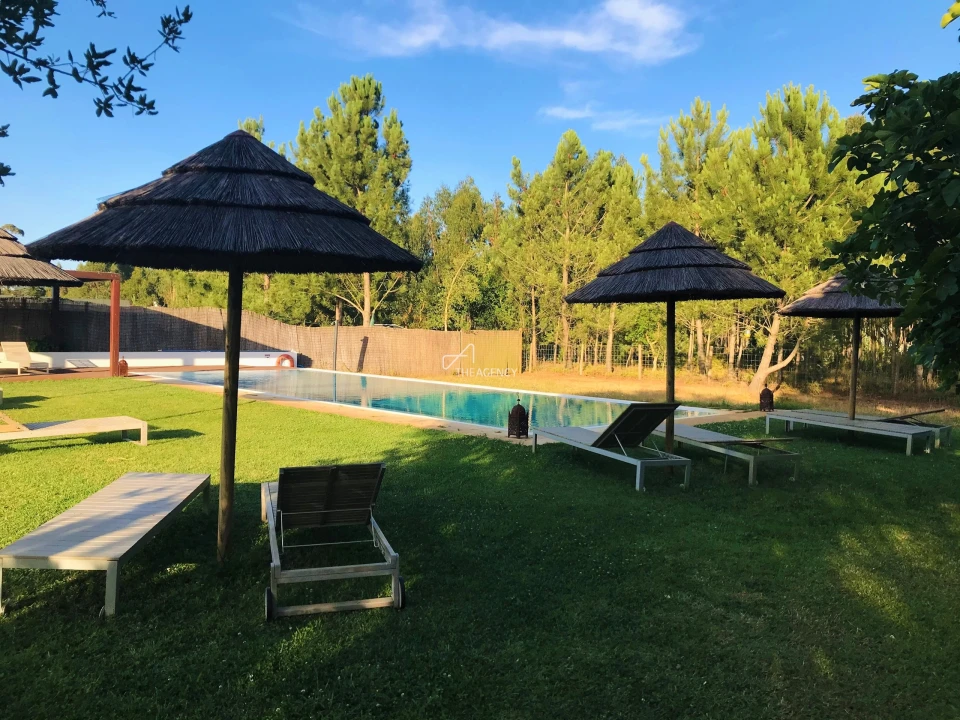 Quinta T31 para Venda em São Teotónio Foto 27