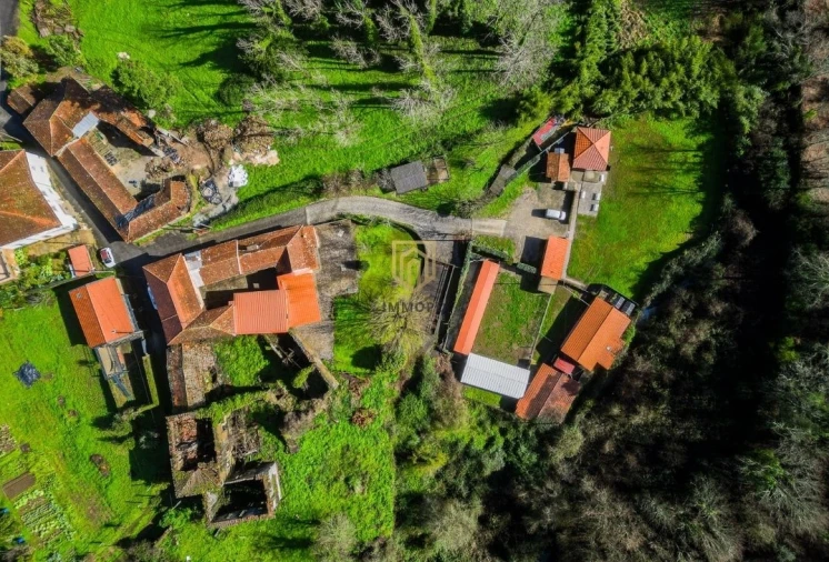 Quinta T5 para Venda em Gandra Foto 54