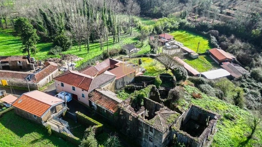 Quinta T5 para Venda em Gandra