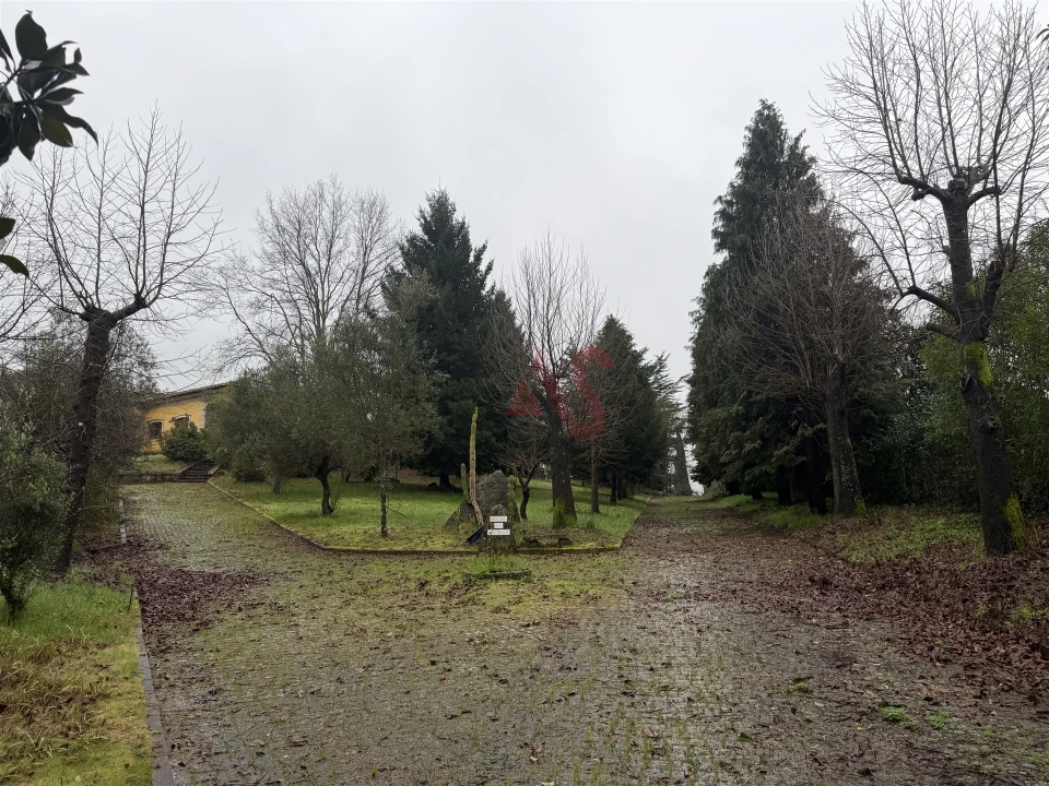 Moradia T5 para Venda em Meinedo Foto 50